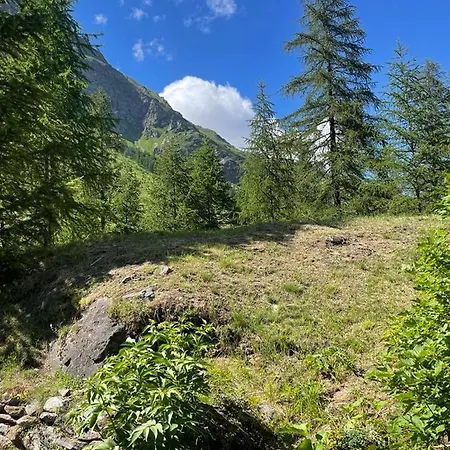 Appartement Jardin Des *