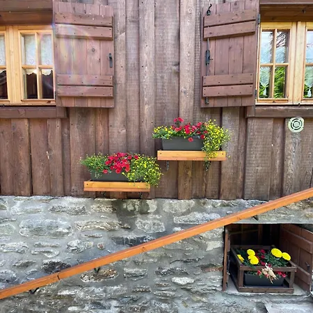 Jardin Des Appartement